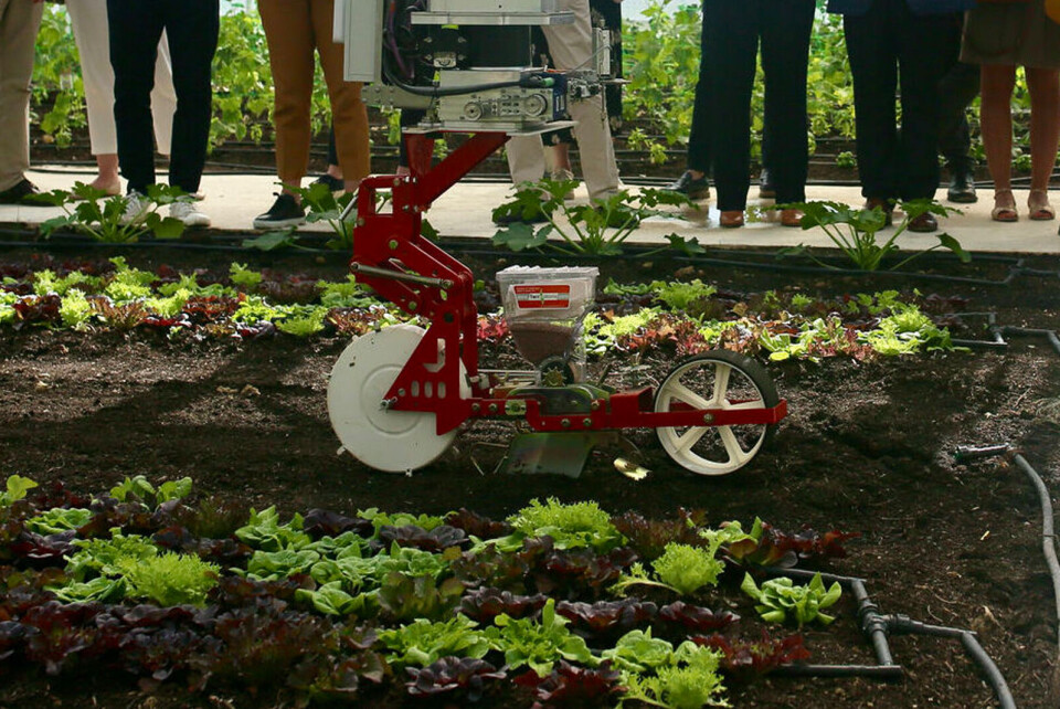 NeoFarm